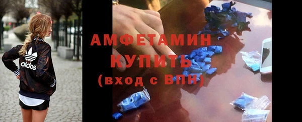 шишки Верея