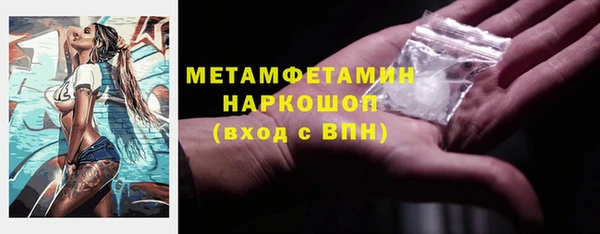 шишки Верея