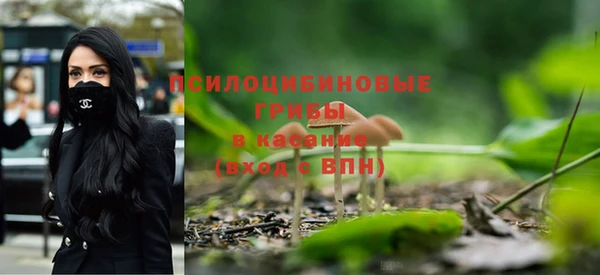 кокс Бородино