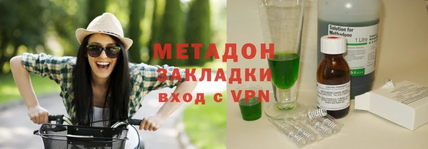 шишки Верея