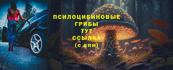 мяу мяу мука Бугульма