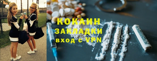 твердый Верхний Тагил