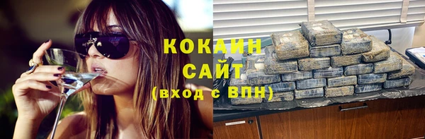 шишки Верея