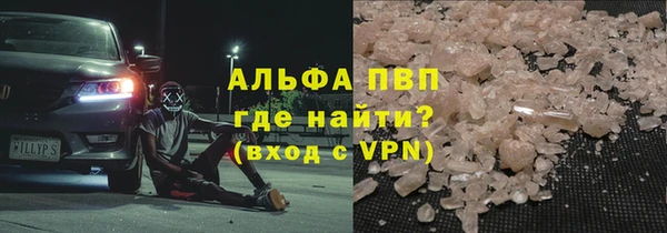 шишки Верея