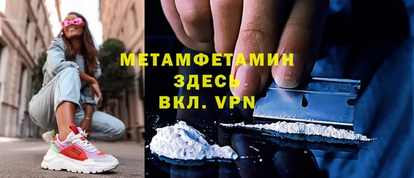 шишки Верея