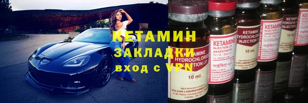 шишки Верея
