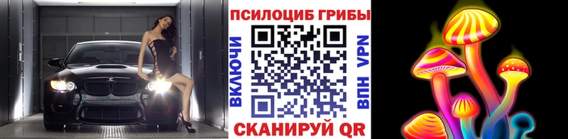 наркота  Выборг  Галлюциногенные грибы ЛСД 