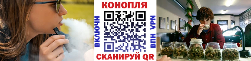 купить наркоту  Выборг  Бошки марихуана Ganja 